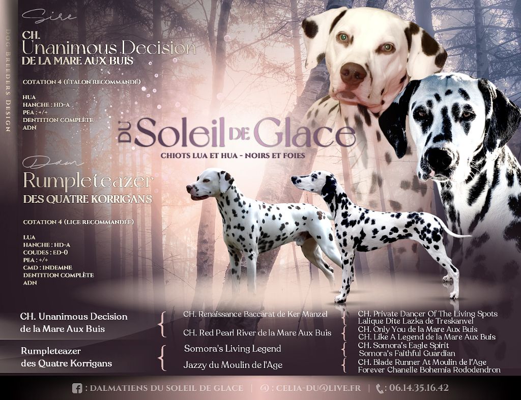 Du Soleil De Glace - Portée 2025